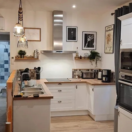 Charmante Maison Centre-ville Avec Terrasse ! Épernay