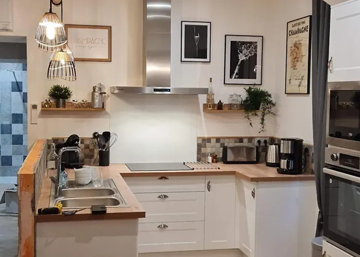 Charmante Maison Centre-ville Avec Terrasse ! Épernay